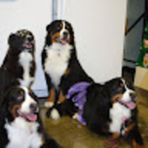 Meet your Posher, Magdalena